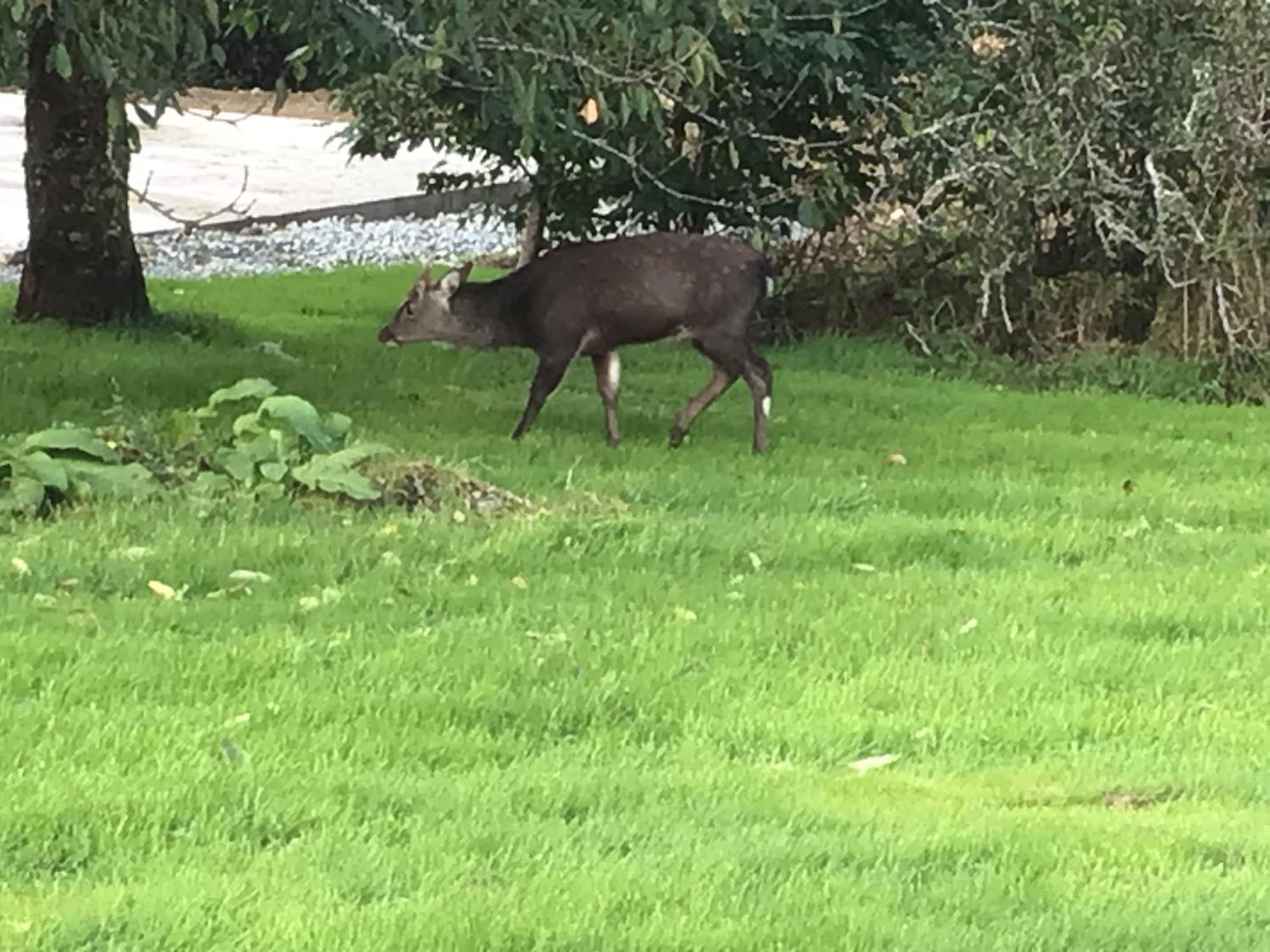 בנטרי Aran Lodge מראה חיצוני תמונה